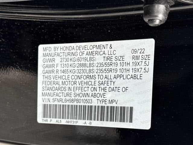 2023 Honda Odyssey Elite