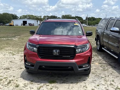 2024 Honda Passport Black Edition